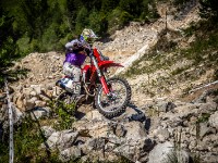 Schotter (1 von 1)-26