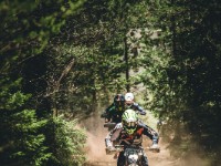 Mountain Wald (1 von 1)-10