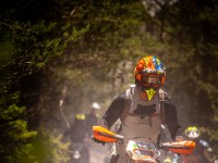 Mountain Wald (1 von 1)-14