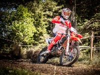 Mountain Wald (1 von 1)-18