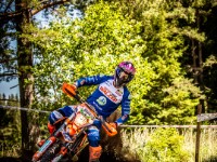 Mountain Wald (1 von 1)-19