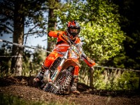 Mountain Wald (1 von 1)-27