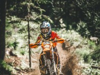 Mountain Wald (1 von 1)-30