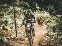 Mountain Wald (1 von 1)-31