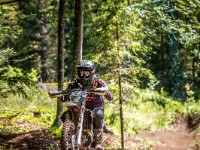 Mountain Wald (1 von 1)-38