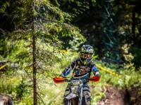 Mountain Wald (1 von 1)-39