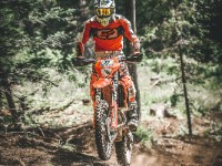 Mountain Wald (1 von 1)-42