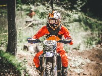 Mountain Wald (1 von 1)-45