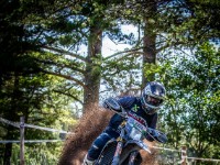 Mountain Wald (1 von 1)-65