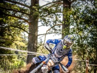 Mountain Wald (1 von 1)-67