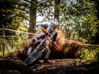 Mountain Wald (1 von 1)-68