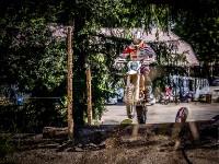 Mountain Wald (1 von 1)-72