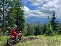 d5c5d347-ce95-4a62-a352-877767762d2a